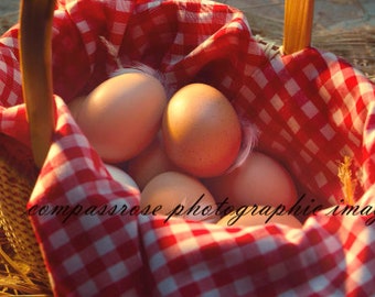 All Eggs In One Basket - Fine Art Landscape Photography - Color - 8 1/2" x 11' Print