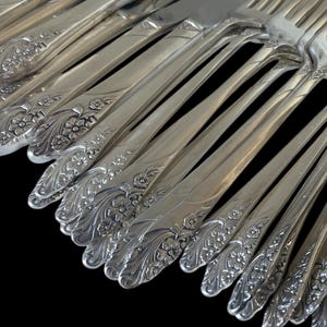 1950s Flatware Set Oneida Evening Star Pattern Service for 12 plus Serving Utensils