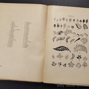 May include: A black and white illustration of different paisley patterns, labeled "Table IX" in the top right corner. The patterns are numbered 1 through 46.