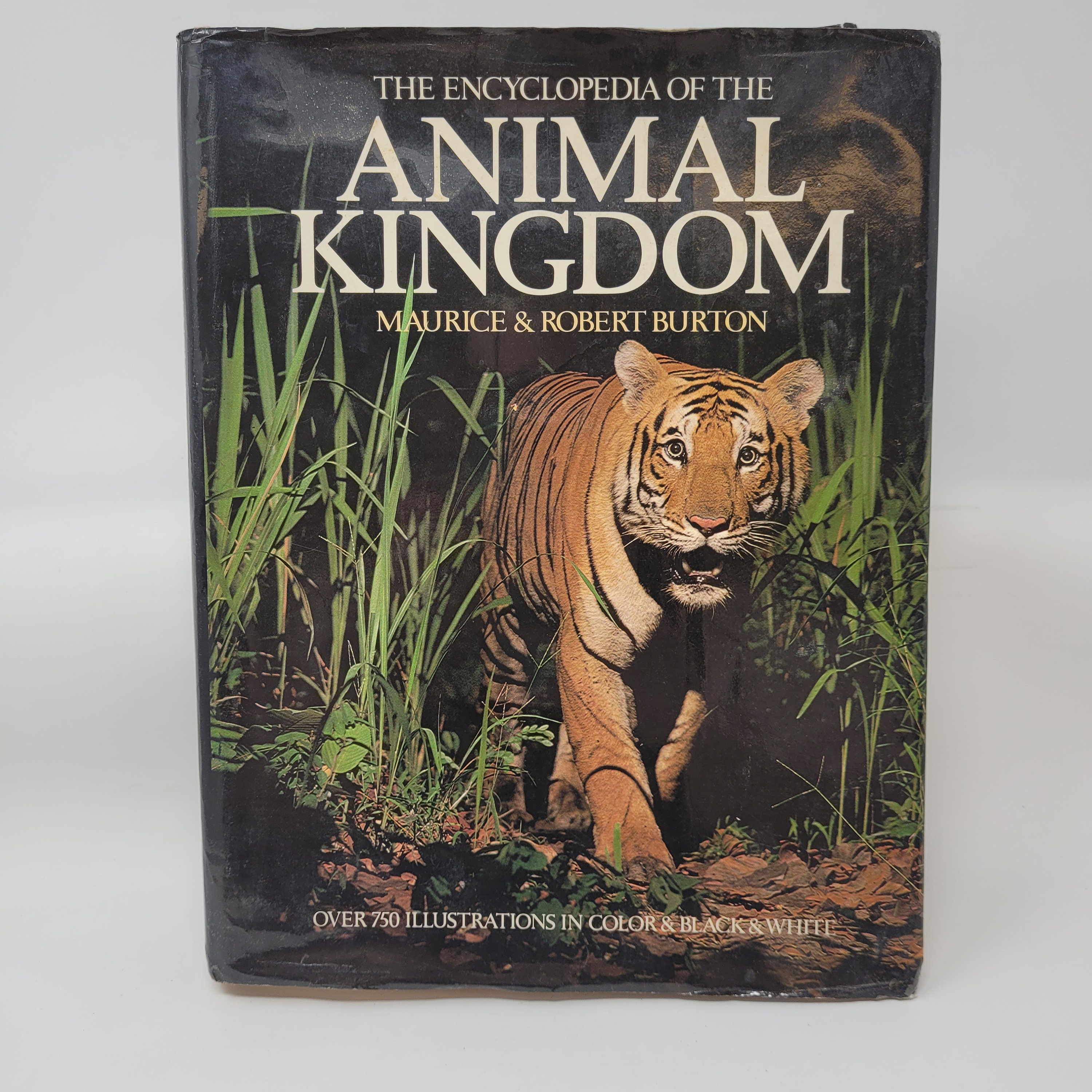 The Encyclopedia of the Animal Kingdom Maurice and Robert - Etsy Australia The Encyclopedia of the Animal Kingdom Maurice and Robert - Etsy Australia