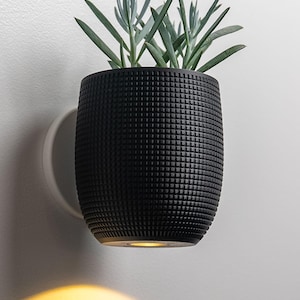 Può includere: Un vaso da parete nero con un motivo a griglia testurizzato sull'esterno. Il contenitore cilindrico ospita una pianta succulenta verde e presenta una sorgente luminosa circolare alla base che proietta una calda luce gialla sulla parete.