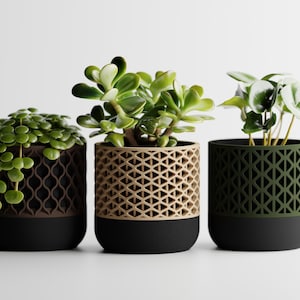Puede incluir: Tres macetas decorativas con plantas vivas. Las macetas tienen una base negra y una sección superior estampada en marrón, beige y verde. Las plantas presentan follaje verde.