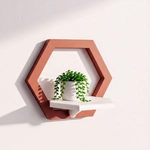 Ensemble d'étagères murales hexagonales | Étagères flottantes modulables en nid d'abeille, présentation de plantes et de cristaux | Décoration d'intérieur moderne, cadeau de pendaison de crémaillère