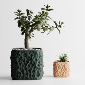 May include: Two decorative plant pots, one large and one small, each containing a plant. The larger pot is dark green with a textured surface and holds a jade plant. The smaller pot is peach-coloured with a succulent.
