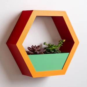Op de afbeelding: Een zeshoekige wandplank met een feloranje voorframe, donkerrode zijpanelen en een effen groene basis. In de plank staan twee kleine vetplantjes, waarvan er één donkerpaarse bladeren heeft en de andere groene bladeren.