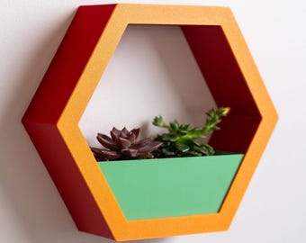 Hexagon Wall Planter | Succulent Holder with Hidden Drainage, Modern Geometric Design | Plant Lover Gift, Housewarming Gift, Gift for Her