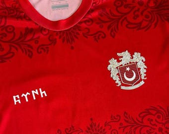 Gepersonaliseerde kalkoenjersey, aangepast shirt Bozkurt, Gokturk Wolf-embleem, Türkiye-voetbaltenue, grijze wolf-voetbaltop, naamnummer cadeau, voor hem