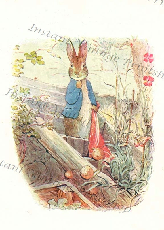 BENJAMIN BUNNY High resolution Instant Download Antique reproduction file 1904
