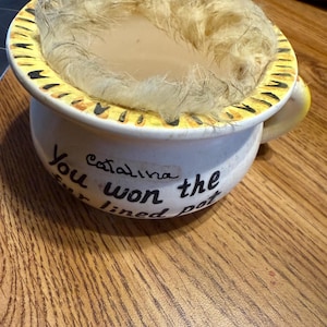 Könnte beinhalten: Ein weißer Keramiktopf mit gelbem Rand mit schwarzen Akzenten und einem Griff. Der Topf ist mit hellfarbigem Fell gefüllt. Der Text "You won the fur lined pot" steht auf der Seite, darüber der Name "Catalina".