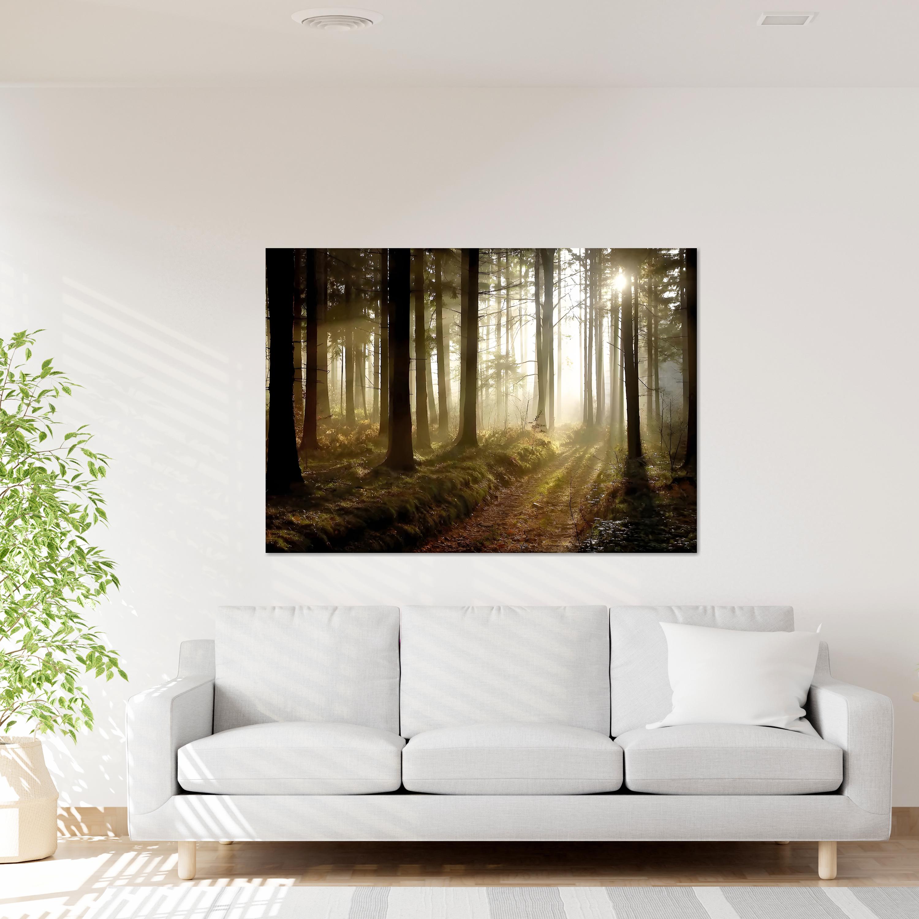 Sunlight Forest Path Canvas, Nature Landscape Wall Art, Living Room ...