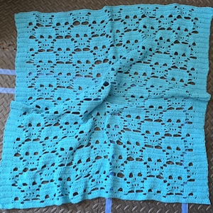 Skulls Blanket Crochet Pattern