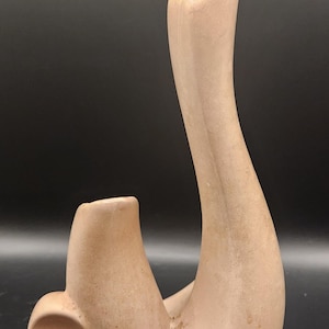 Può includere: Un vaso in ceramica marrone chiaro dalla forma astratta e curva. Il vaso presenta un collo alto e sottile che si curva verso l'alto e una piccola apertura arrotondata sul lato. Il design è liscio e minimalista.