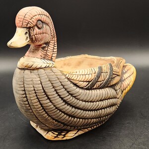May include: A ceramic duck planter with a detailed, textured design. The duck features a pink head and beak, with a body in shades of grey, brown, and cream. The planter has an open top for plants and is a decorative item.