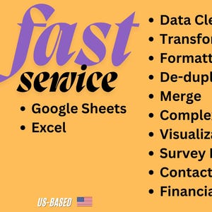 May include: An orange graphic with the words "fast service" in purple. The image lists data services including data cleaning, transformation, and financial modeling. File icons for XLSX and CSV are also shown.