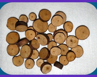 Bulk Pine Wood Slices with Bark, 37 Blank Wood Cut Pieces, 5/8 to 1-1/2 Inch Diameter, About 7/16 Inch Thick, Ornaments, Painting, Drawing