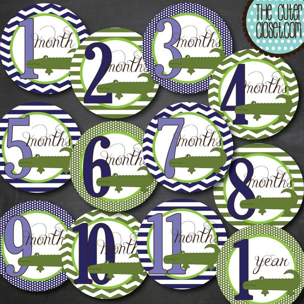 CLOSEOUT SALE! Baby Monthly Milestone Stickers - Gator Blue