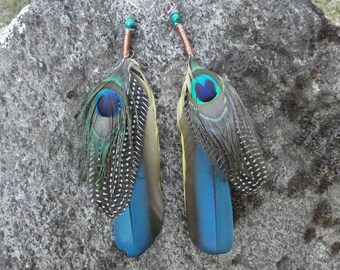 Amazon parrot and peacock feather earrings copper wire wrapped