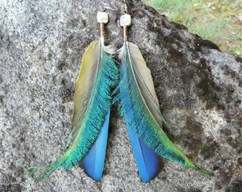 Amazon parrot and irridescent peacock feather earrings copper wire wrapped with raku beads