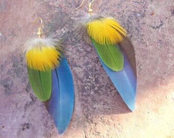 CRUELTY FREE- Custom petite parrot feather earrings