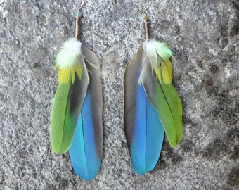 Amazon parrot feather earrings aged brass wire wrapped with ceramic beads