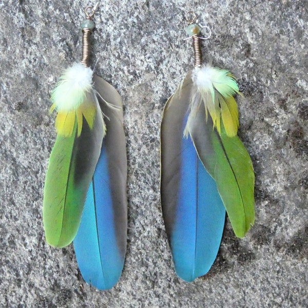 Boucles d’oreilles en plumes de perroquet amazonien vieilli en fil de laiton enveloppé de perles de céramique