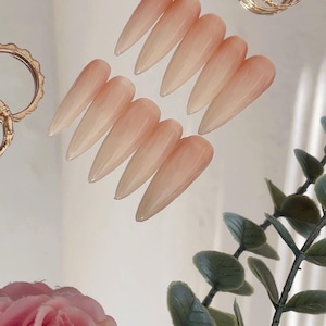 Può includere: Un set di dieci unghie finte lunghe a forma di mandorla con un design sfumato, che passa da un beige chiaro a un rosa tenue. Le unghie sono disposte su una superficie riflettente, con anelli dorati e rose rosa sullo sfondo. Le unghie misurano circa 3 cm.