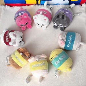 Stray Kids SKZOO Magic School Plushies Keychain, Lee Know, Bangchan, Huynjin, Han, SeungMin, ChangBin, Felix, In, Wolf Chan, Skz Plushies
