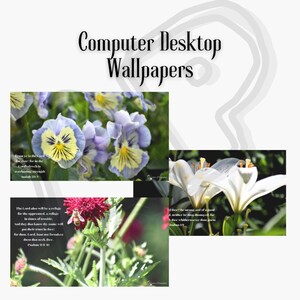 May include: Computer desktop wallpapers featuring floral photography. The image includes close-ups of pansies, lilies, and a bee on a red flower. Each image has a Bible verse. The text "Computer Desktop Wallpapers" is at the top.
