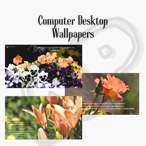 May include: Computer desktop wallpapers featuring floral arrangements and a rose. The wallpapers include text from the Bible. The top left image shows pansies and other flowers in shades of purple, orange, and white.