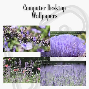 May include: A collection of computer desktop wallpapers featuring close-up images of purple flowers and plants. The text "Computer Desktop Wallpapers" is at the top. Bible verses are included in the images.