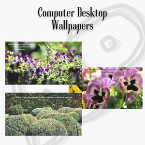 Computer Desktop Wallpaper Flower Background Scripture Images | Pink and Green