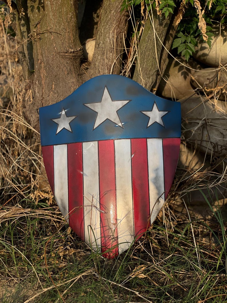 Op de afbeelding: Een schild met een blauw bovenstuk met drie witte sterren. Het schild heeft rode en witte verticale strepen. Het schild leunt tegen een boomstam in een grasveld. Het schild heeft een vintage uitstraling.