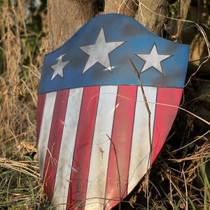 Op de afbeelding: Een schild met een blauw bovenstuk met drie witte sterren en een rood-wit gestreept onderstuk. Het schild heeft een verweerde uitstraling, met zichtbare slijtage. Het schild leunt tegen een boomstam.