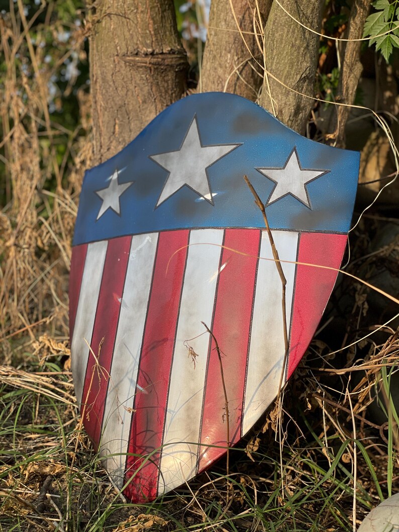 Op de afbeelding: Een schild met een blauw bovenstuk met drie witte sterren en een rood-wit gestreept onderstuk. Het schild heeft een verweerde uitstraling, met zichtbare slijtage. Het schild leunt tegen een boomstam.