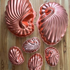 May include: A collection of five copper-colored metal baking molds shaped like nautilus shells. The set includes two large molds with small hanging loops and three smaller molds, all featuring a distinct ribbed, spiral design on the surface.