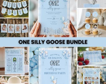 Kit de Aniversário "Um Ganso Divertido" para Festa de 1 Ano, Decorações para Festa de Aniversário com Tema de Ganso, Decoração para Festa de 1 Ano com Animais da Fazenda, Artigos para Festa "Um Ganso Divertido", Decoração