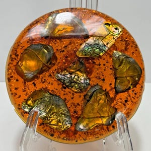 May include: A circular resin coaster in orange, featuring embedded iridescent shell pieces. The coaster has a glossy finish and is supported by a clear plastic stand. The shell pieces display gold, green, and silver hues.