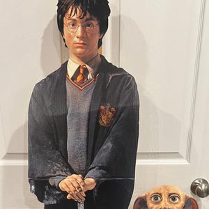 Figura de Harry Potter de 1,5 m de altura, exhibición de películas en el cine, La cámara secreta, con Dobby