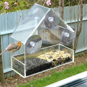 May include: A clear acrylic window-mounted bird feeder with two small birds perched on it. The feeder is filled with birdseed and has suction cups for attachment. The birds have brown and orange feathers.