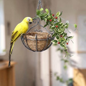 Puede incluir: Una jaula colgante con un loro amarillo posado en el borde. La jaula es de mimbre tejido y metal, con hojas verdes y bayas rojas. La jaula está suspendida por una cadena de metal.