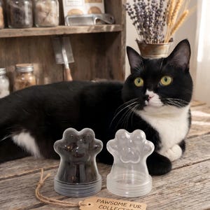 Puede incluir: Dos recipientes de plástico transparente con forma de pata, uno lleno de pelo oscuro y otro vacío, con una etiqueta de papel beige con el texto PAWSOME FUR COLLECTOR - Artisan Made - atada con un cordel marrón, frente a un gato blanco y negro.
