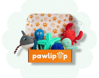 Beach Vibes Dog Toy Box: 10 Toys and Essentials - Themed Gift Box
