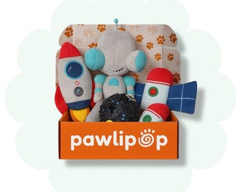 Space Adventure Dog Toy Box: 10 Toys and Essentials - Themed Gift Box