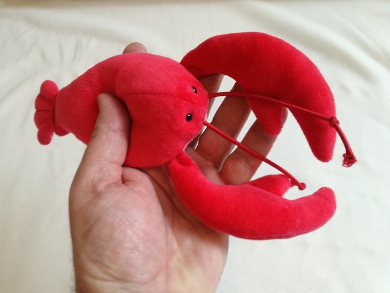 May include: A red plush lobster toy with black eyes. The lobster is held in a person's hand.