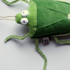 Könnte beinhalten: Ein grünes Insektenspielzeug mit großen weißen Augen und langen, dünnen Antennen. Der Körper besteht aus dunkelgrünem Cord, und die Ränder sind hellgrün mit einem Tupfenmuster. Das Spielzeug hat sechs grüne Beine und ein kleines Etikett.