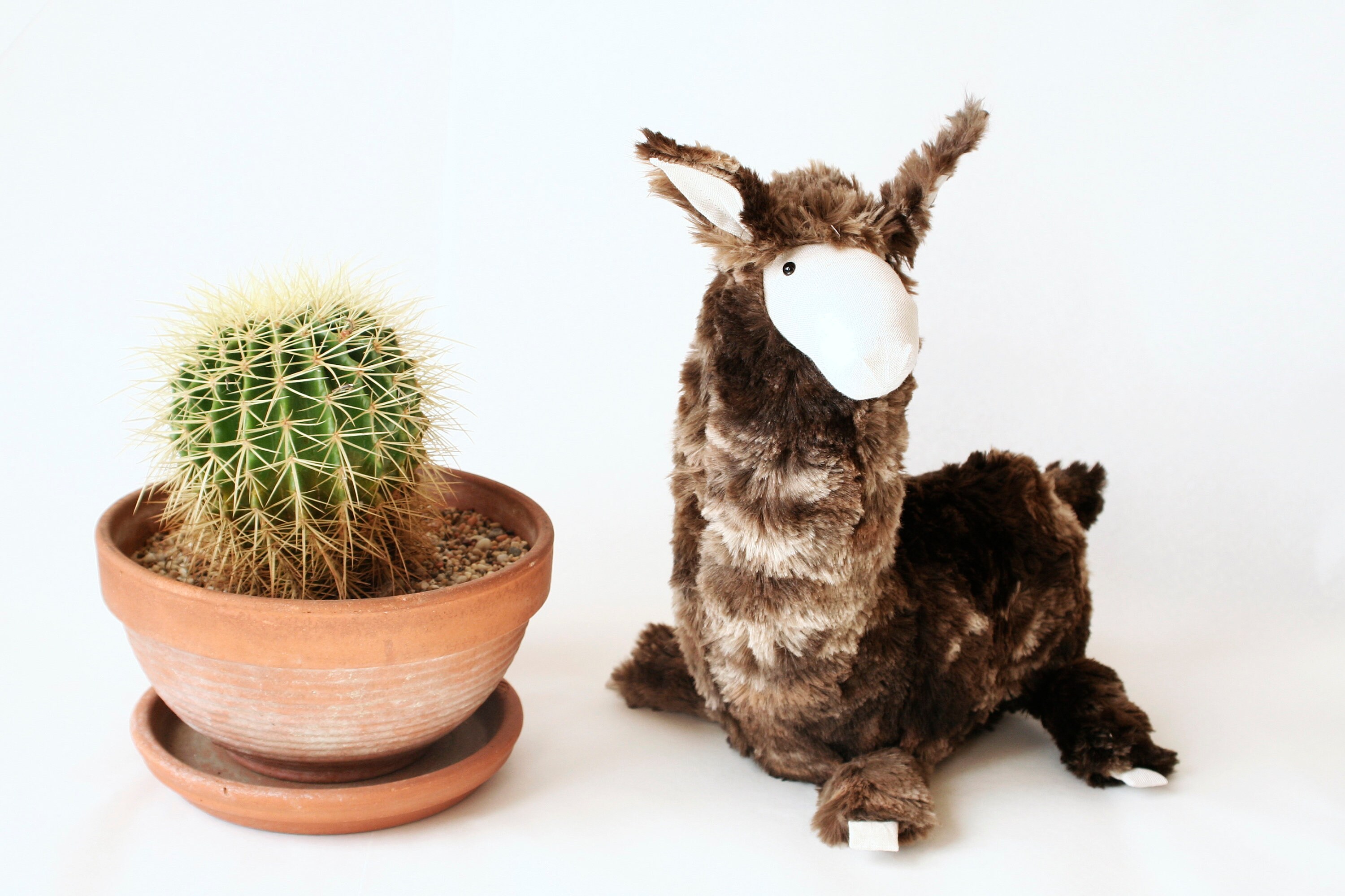 Stuffed llama discount baby toy