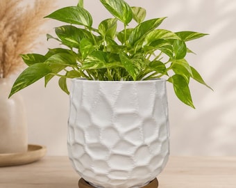 3D Printed Honeycomb Planter | Modern Indoor Plant Pot | PLA Decorative Pot | Minimalist Home Decor