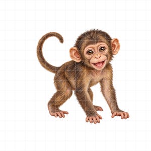 Watercolor Baby Monkey PNG, Jungle Animal Clipart (Digital Download)