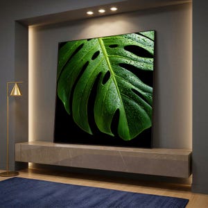 Könnte beinhalten: Ein großer Fernseher zeigt eine Nahaufnahme eines grünen Monstera-Blattes mit Wassertropfen vor schwarzem Hintergrund. Der Fernseher ist auf einem neutralen Regal montiert. Eine goldene Stehlampe und ein blauer Teppich befinden sich im Vordergrund.