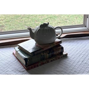 Takahashi San Francisco Teapot - Etsy